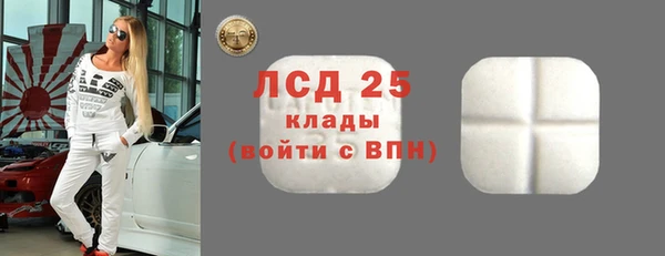 прущий лед Алзамай
