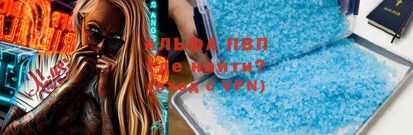 прущий лед Алзамай