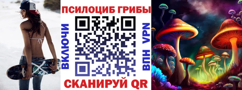 как найти   Тулун  KRAKEN вход  Галлюциногенные грибы Cubensis 